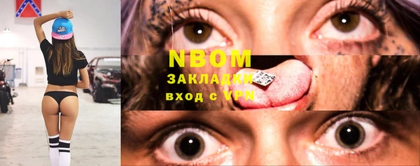 гидра Новозыбков
