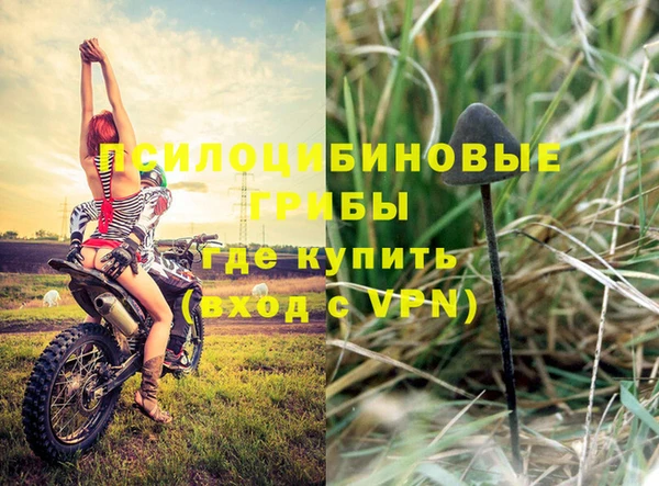 кокс Нефтекумск