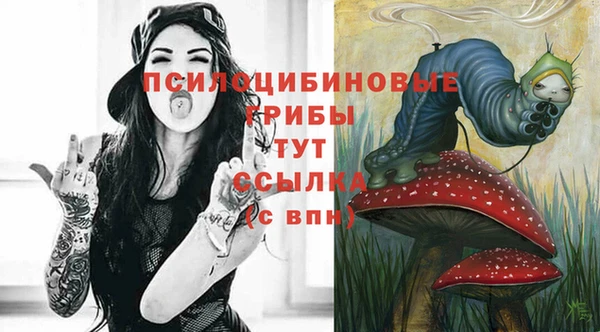 эйфоретик Нефтегорск
