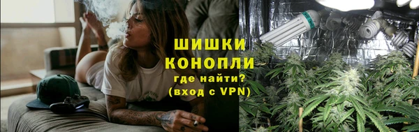гидра Новозыбков