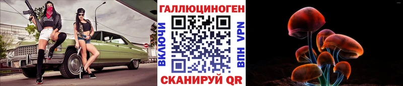 Псилоцибиновые грибы Psilocybe Хадыженск
